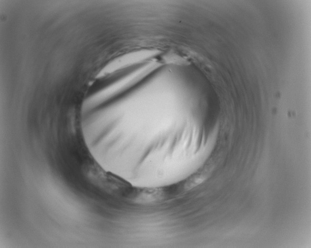X0000077390720200611172039