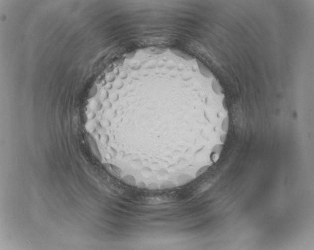 X0000077390741200611172038