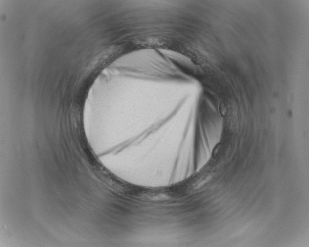 X0000077390747200611172038