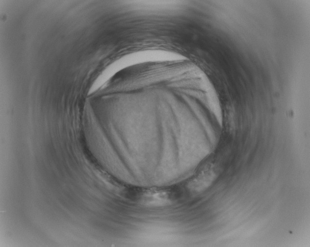 X0000077390760200611172039