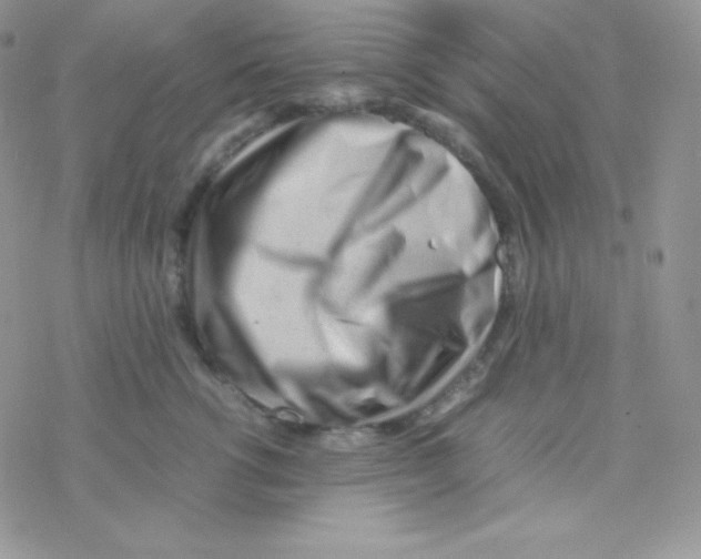 X0000077390762200611172039