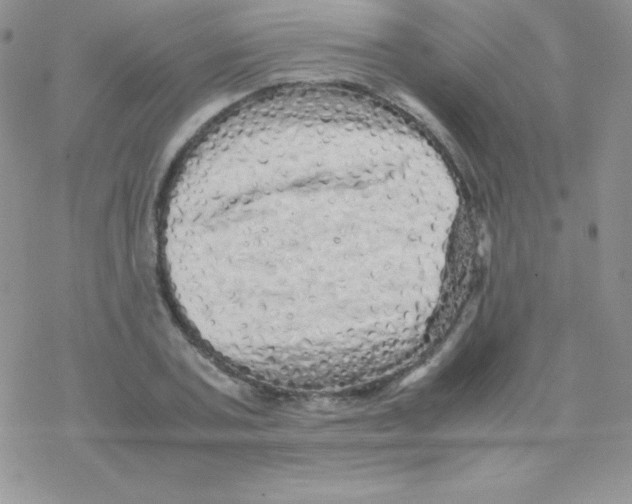 X0000077390787200611172038