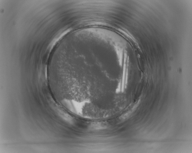 X0000077390790200611172038