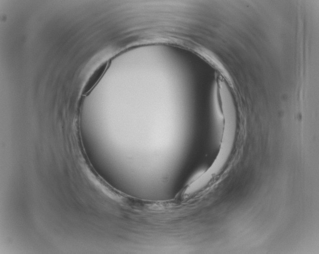 X0000077390805200611172037