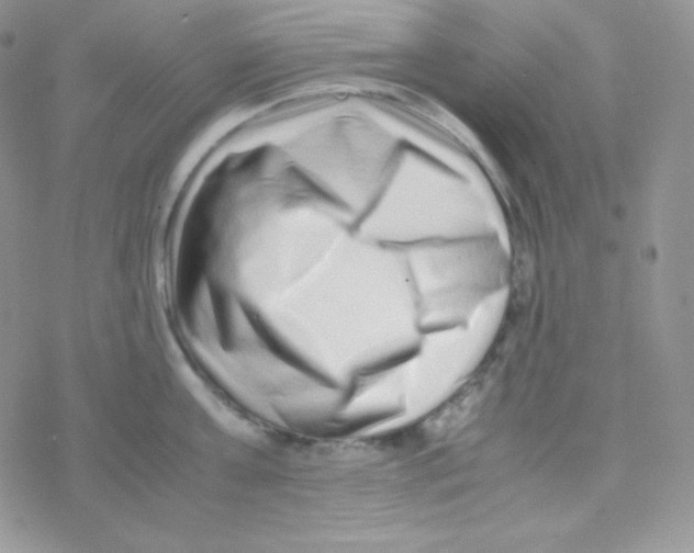 X0000077390811200611172037