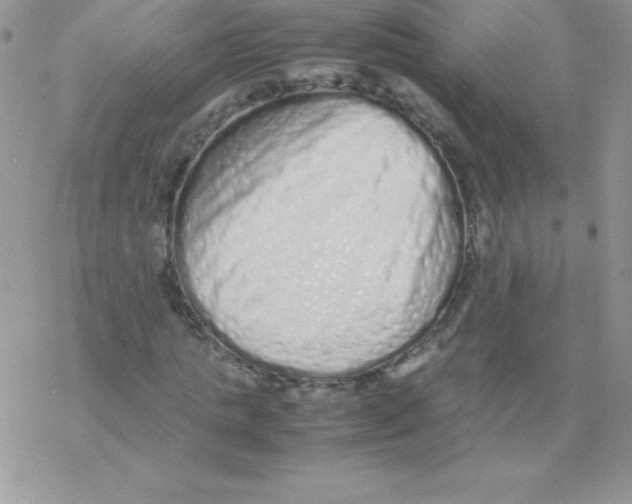 X0000077390821200611172037