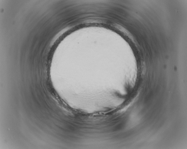 X0000077390829200611172037