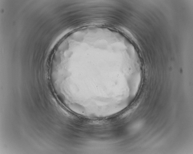 X0000077390835200611172037