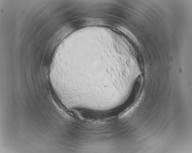 X0000077390849200611172037