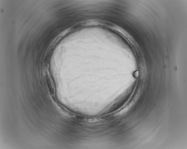X0000077390857200611172037
