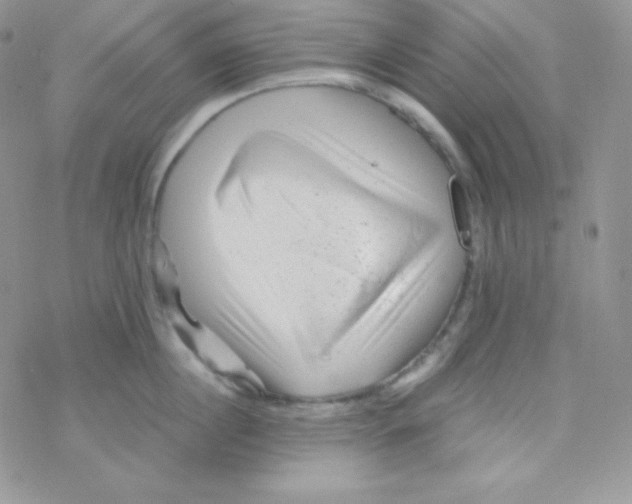 X0000077390860200611172037