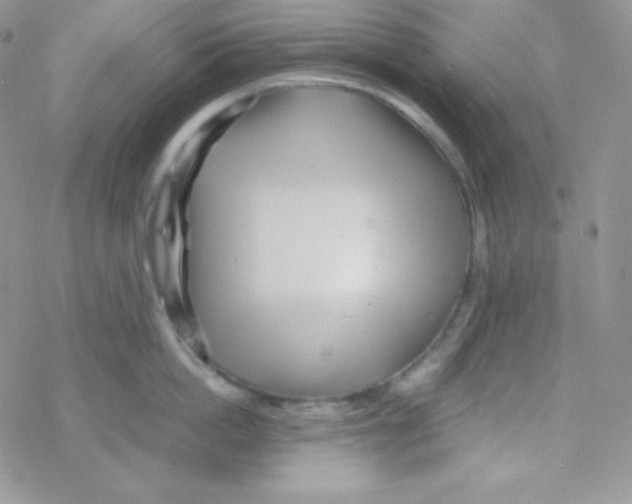 X0000077390862200611172037