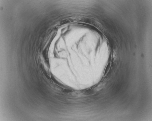 X0000077390867200611172036