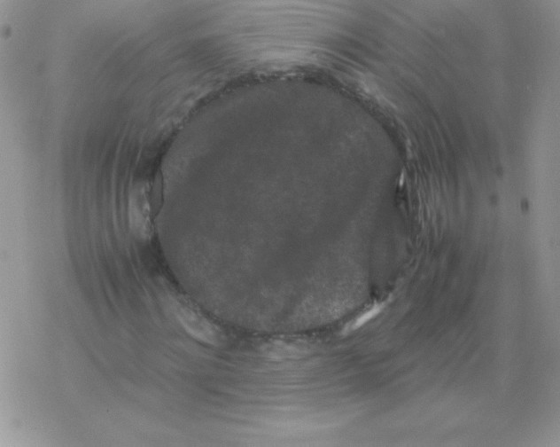X0000077390868200611172036