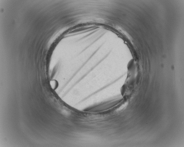 X0000077390877200611172036