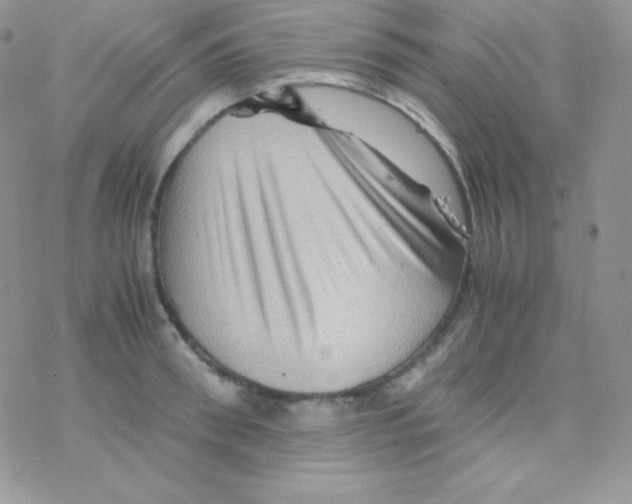 X0000077390898200611172036
