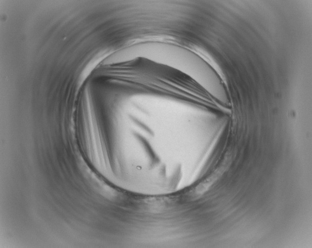 X0000077390906200611172036
