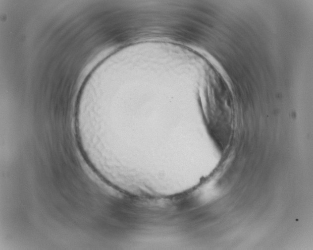 X0000077390957200611172036