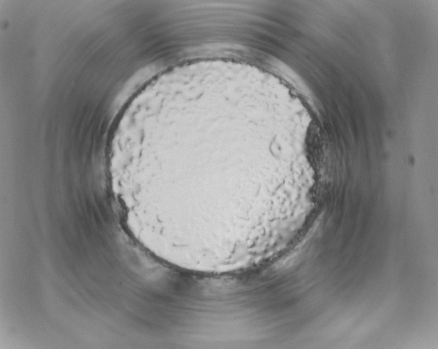 X0000077390994200611172034