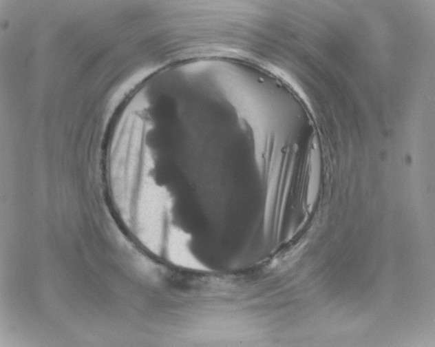 X0000077390995200611172034