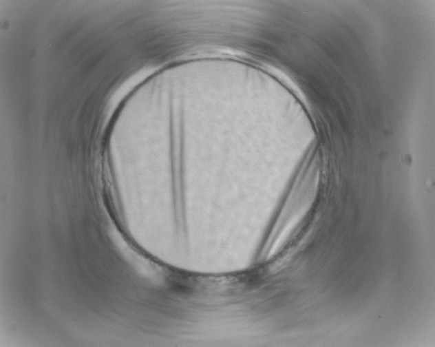 X0000077391003200611172034