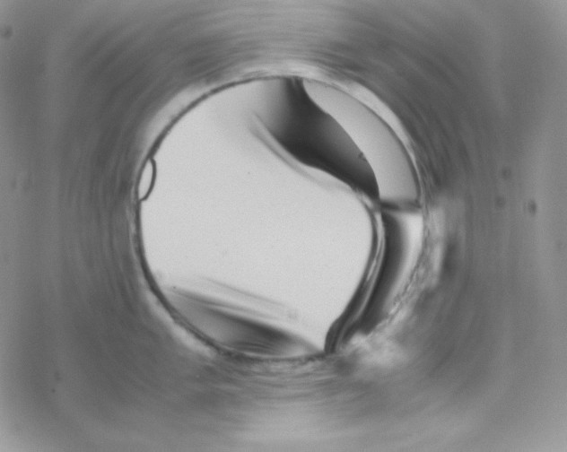 X0000077391005200611172034