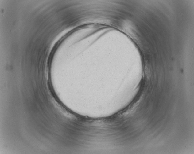 X0000077391028200611172034