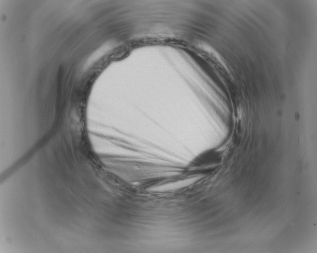X0000077391064200611172033