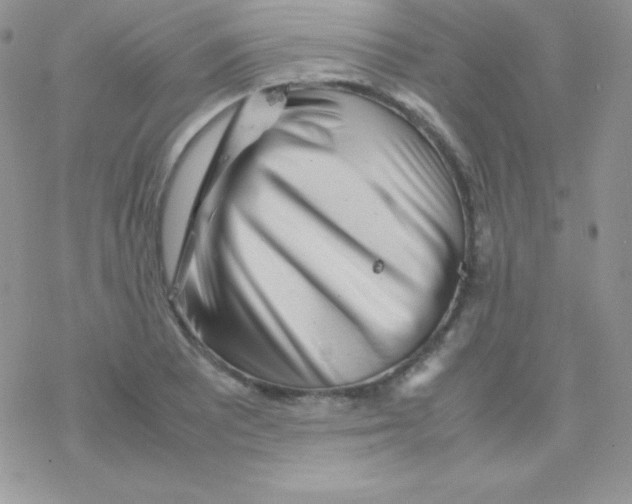 X0000077391081200611172033