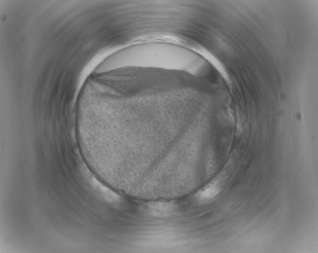 X0000077391102200611172033