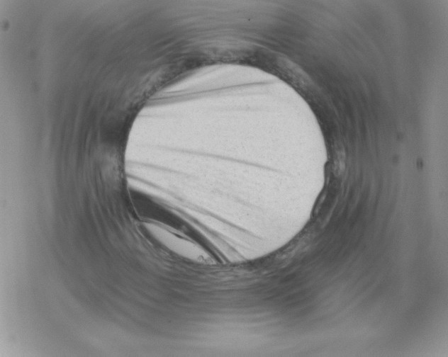 X0000077391108200611172032