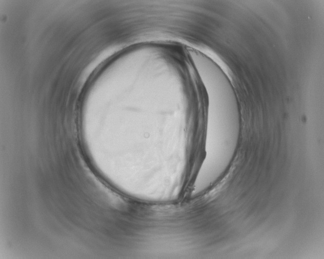 X0000077391142200611172032