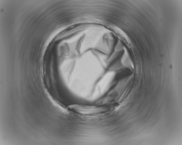 X0000077391144200611172032