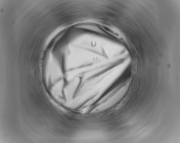 X0000077391151200611172033
