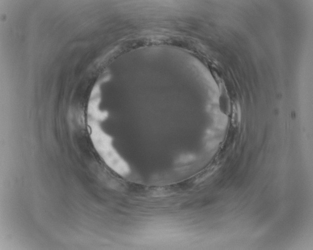 X0000077391155200611172032