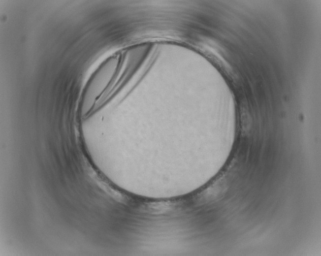 X0000077391182200611172031