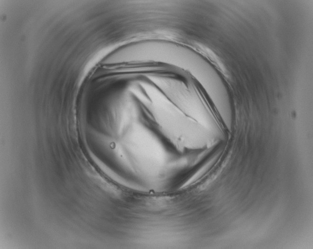 X0000077391184200611172031