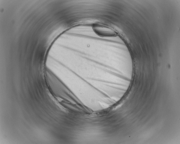 X0000077391186200611172031