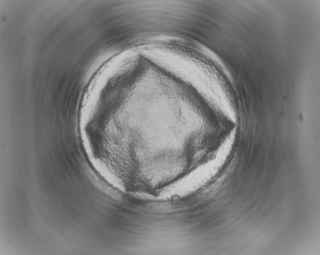 X0000077391194200611172031