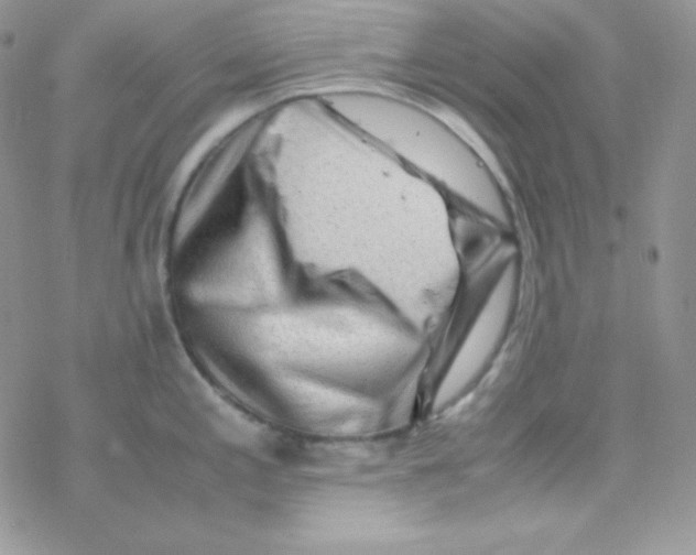 X0000077391197200611172031