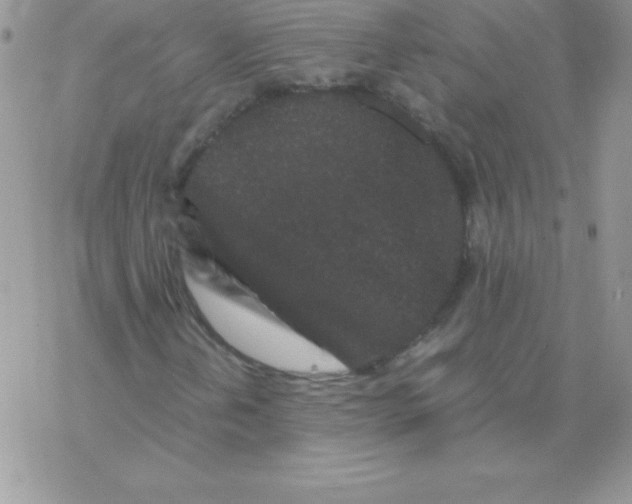 X0000077391202200611172030