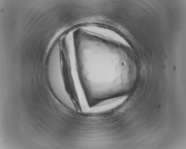 X0000077391224200611172031