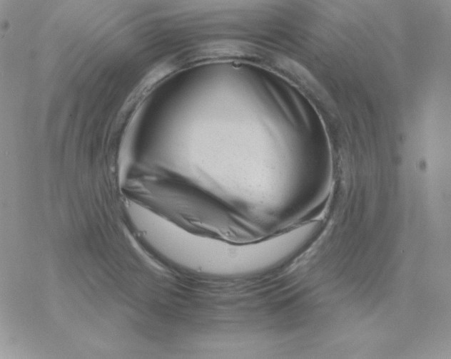 X0000077391225200611172031
