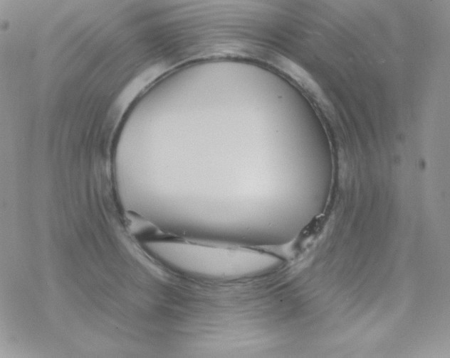 X0000077391234200611172031