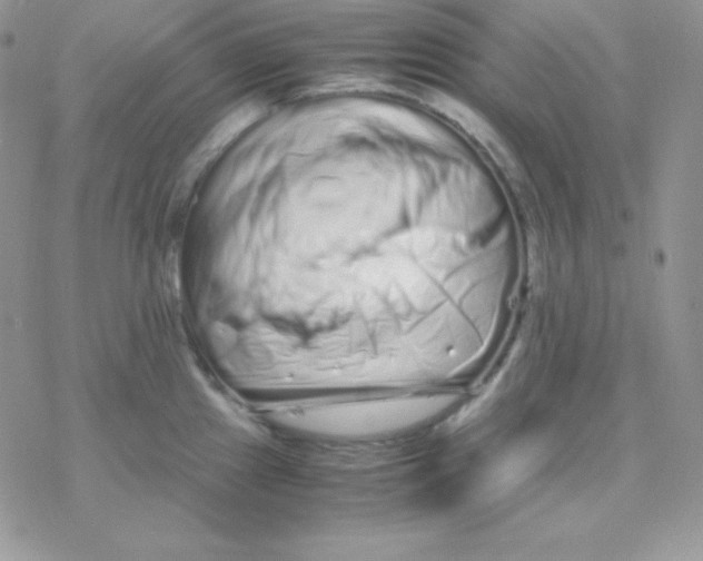 X0000077391241200611172031