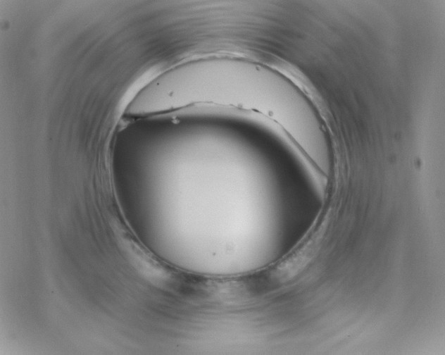 X0000077391242200611172031