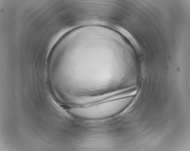 X0000077391244200611172031