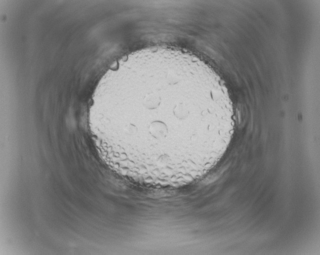 X0000077391251200611172030