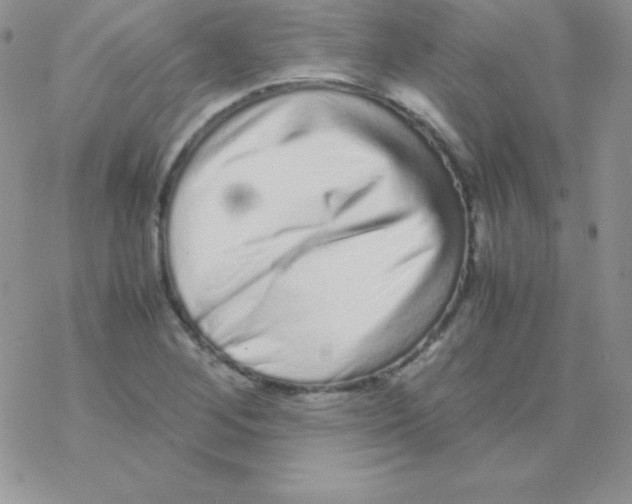 X0000077391268200611172030