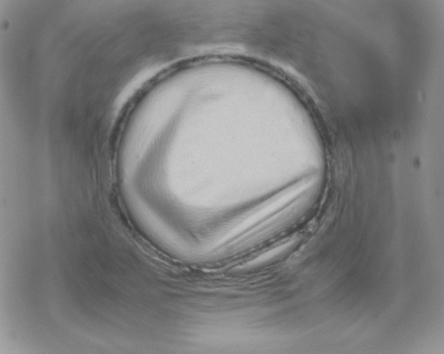 X0000077391271200611172030